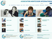 Tablet Screenshot of ami-global.org